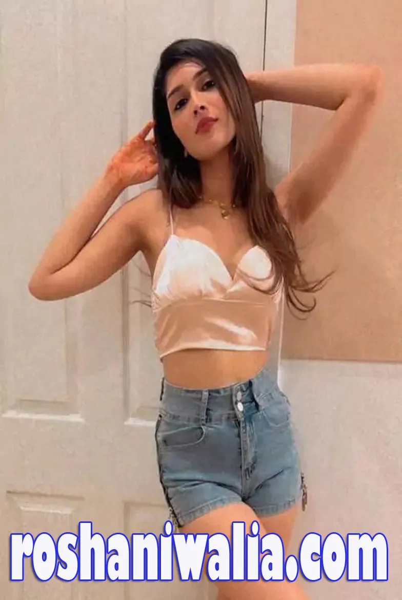 Top Class Escort Service in nashik